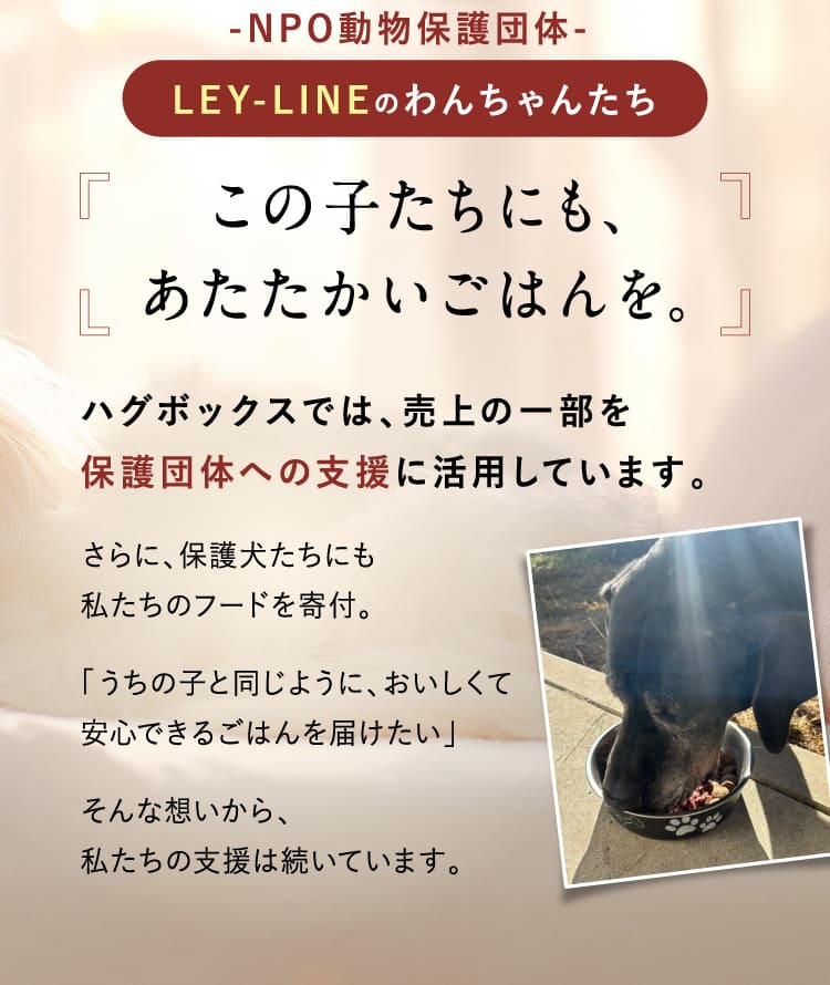 この子たちにも、あたたかいごはんを。