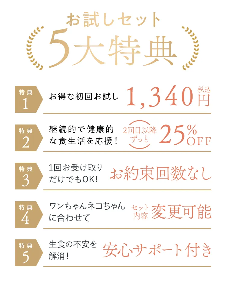 お試しセット5大特典