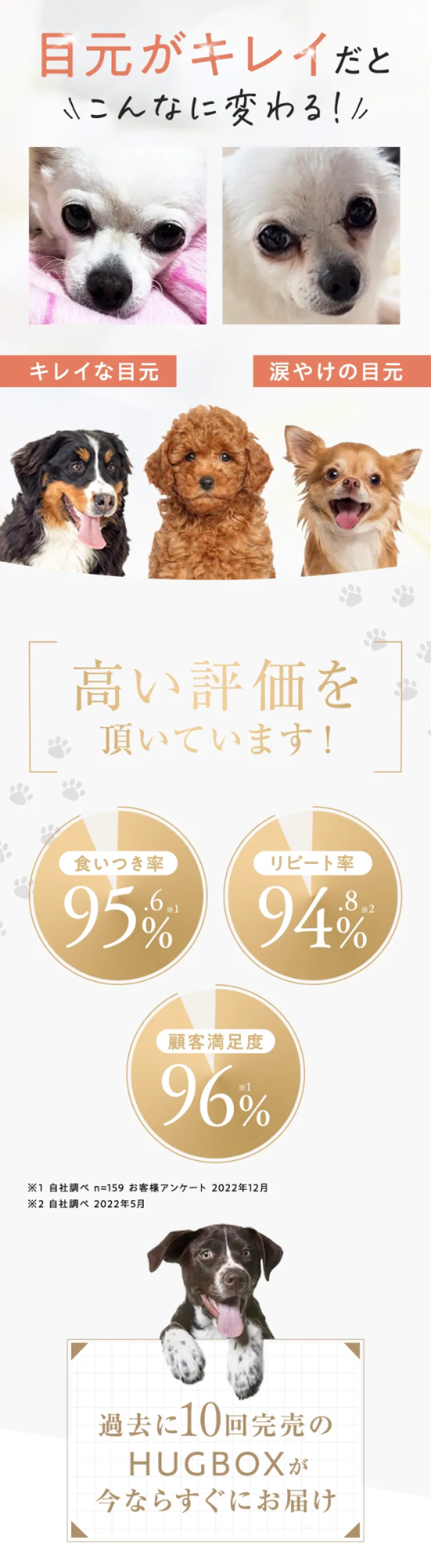 キレイな目元と涙やけの目元の比較写真