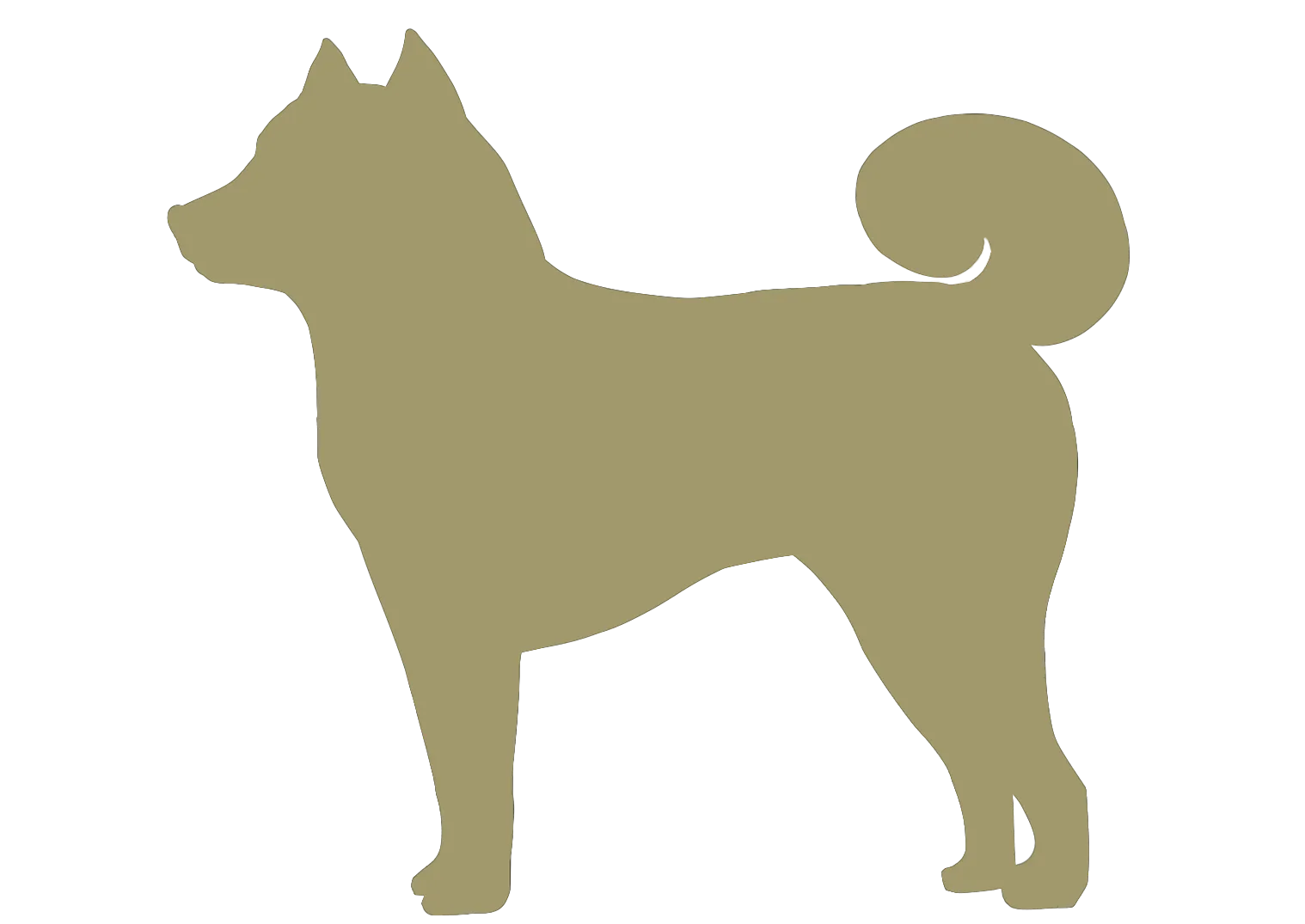 中型犬
