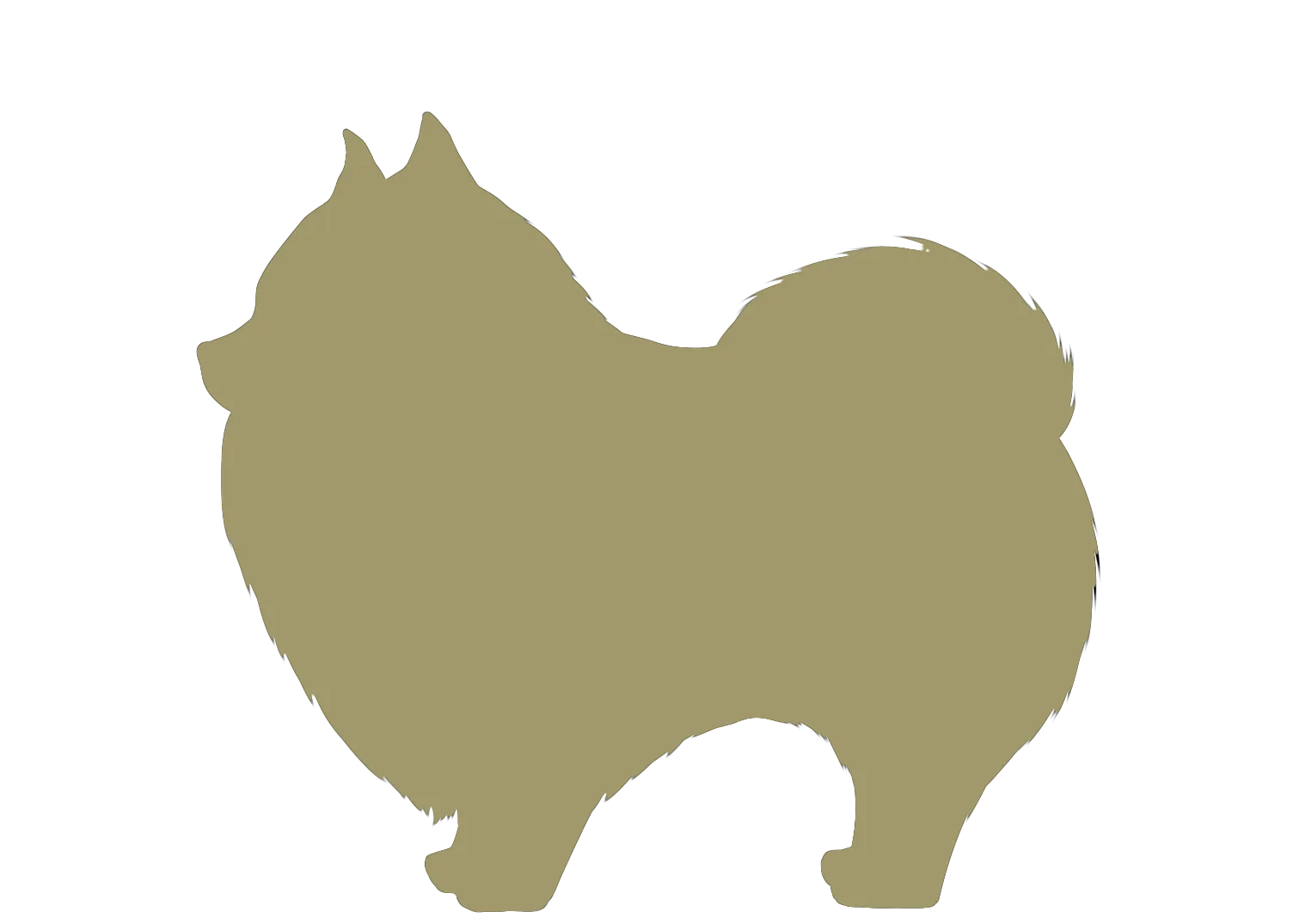 小型犬