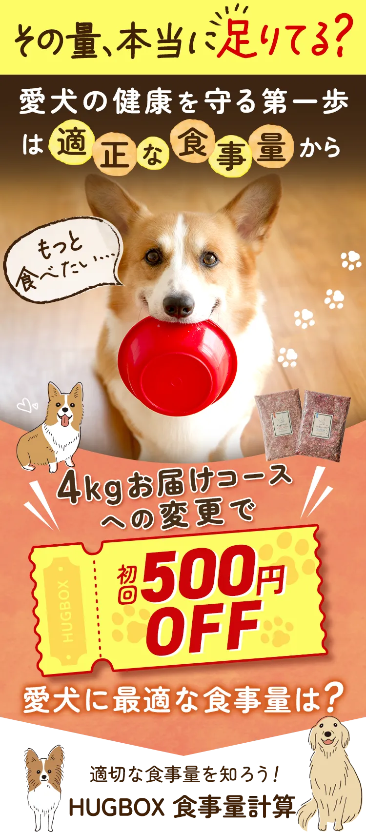 初回限定特別価格