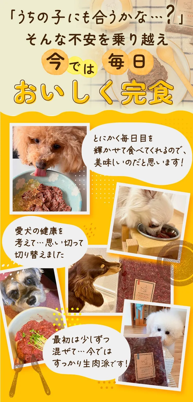 今では毎日おいしく完食