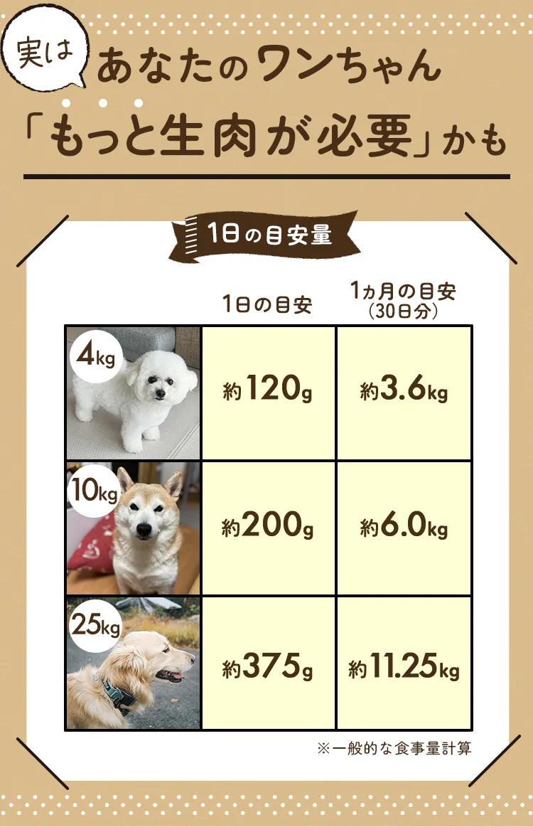 もっと生肉が必要かも