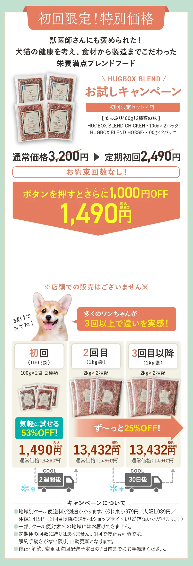 初回限定!特別価格