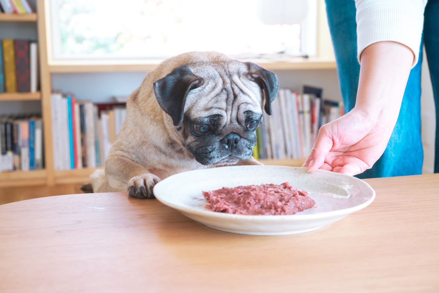 公式】HUGBOX（ハグボックス）｜手作り生食ドッグフード