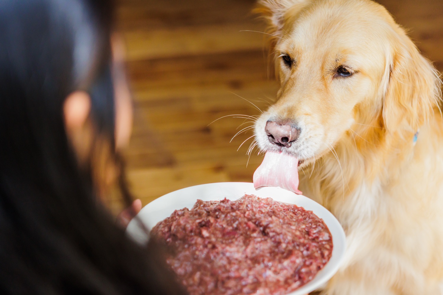 こだわりと特徴