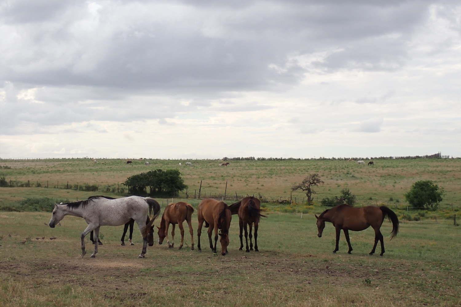 こだわりと特徴