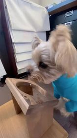 HUGBOXを食べているteniくんの写真