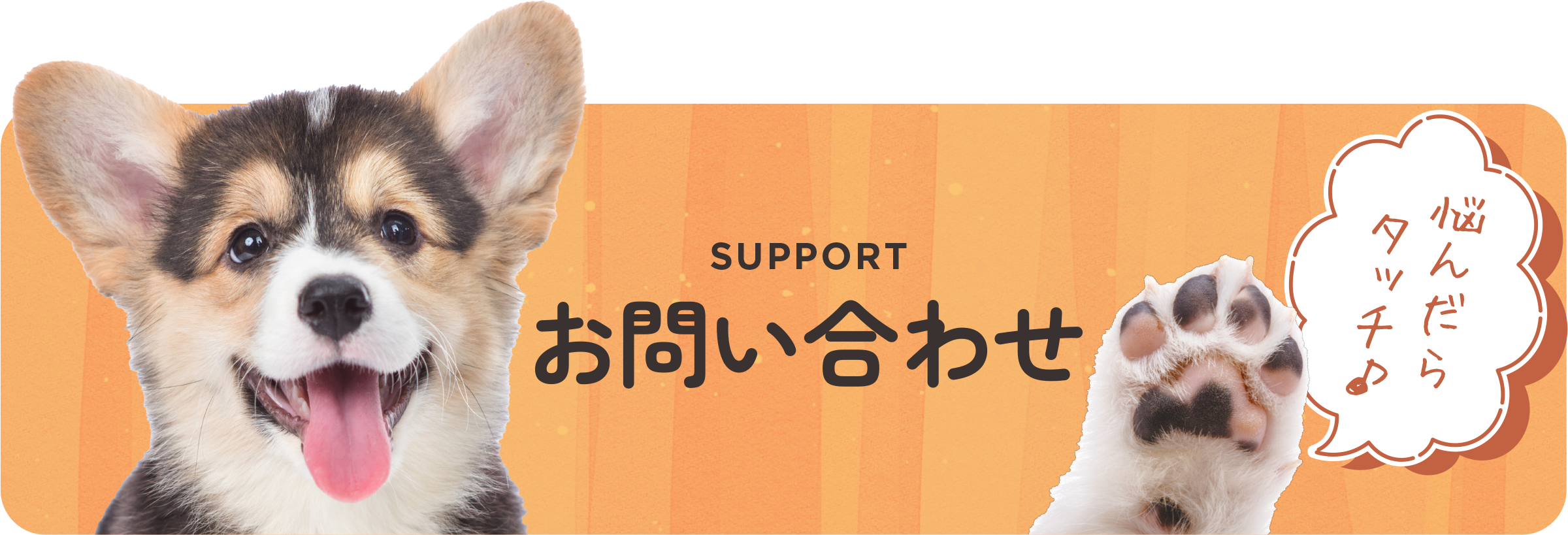 公式】HUGBOX（ハグボックス）｜手作り生食ドッグフード