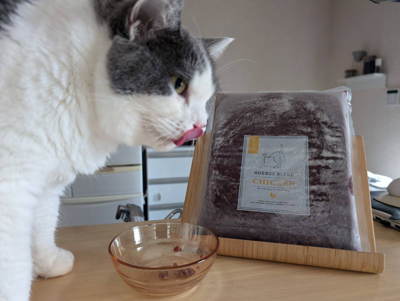 元気になったきらちゃん