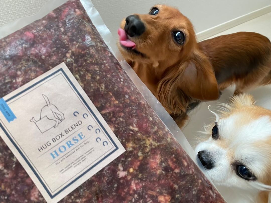 HUGBOX BLEND（ハグボックスブレンド）を食べるもみじちゃんとちくわくん