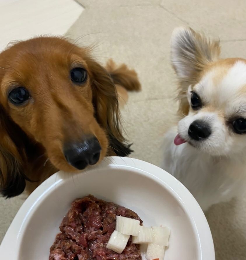 もみじちゃんとちくわくん HUGBOXを食べる前の写真