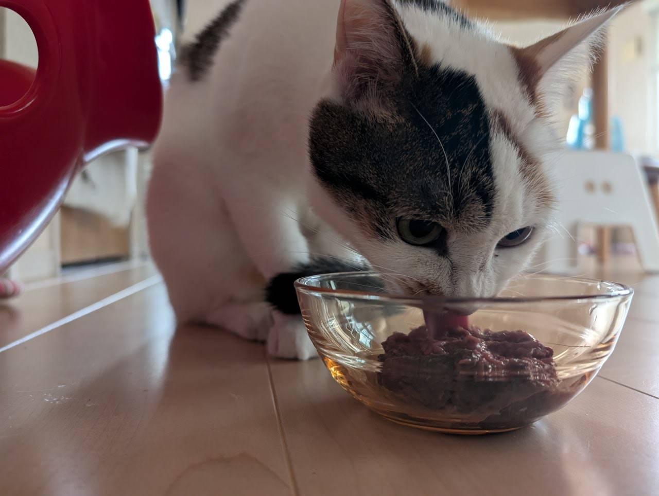 HUGBOXとの出会いイメージ