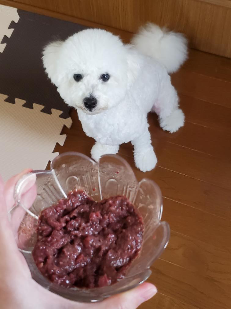 ロイちゃんの改善後写真