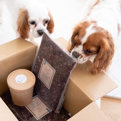 HUGBOXが届いた日の写真