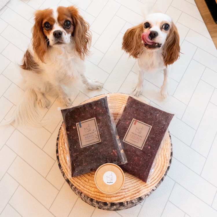 HUGBOX導入前の悩みを抱えていたニコルちゃんとハイジちゃん