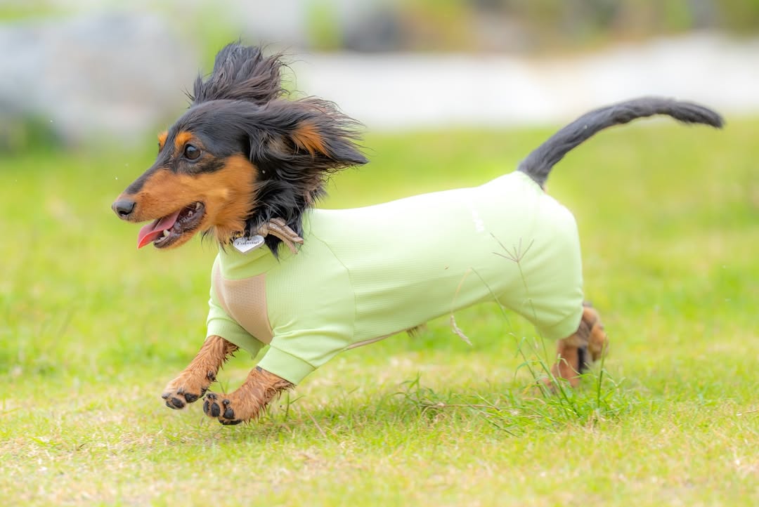 元気に走るつむぎちゃん