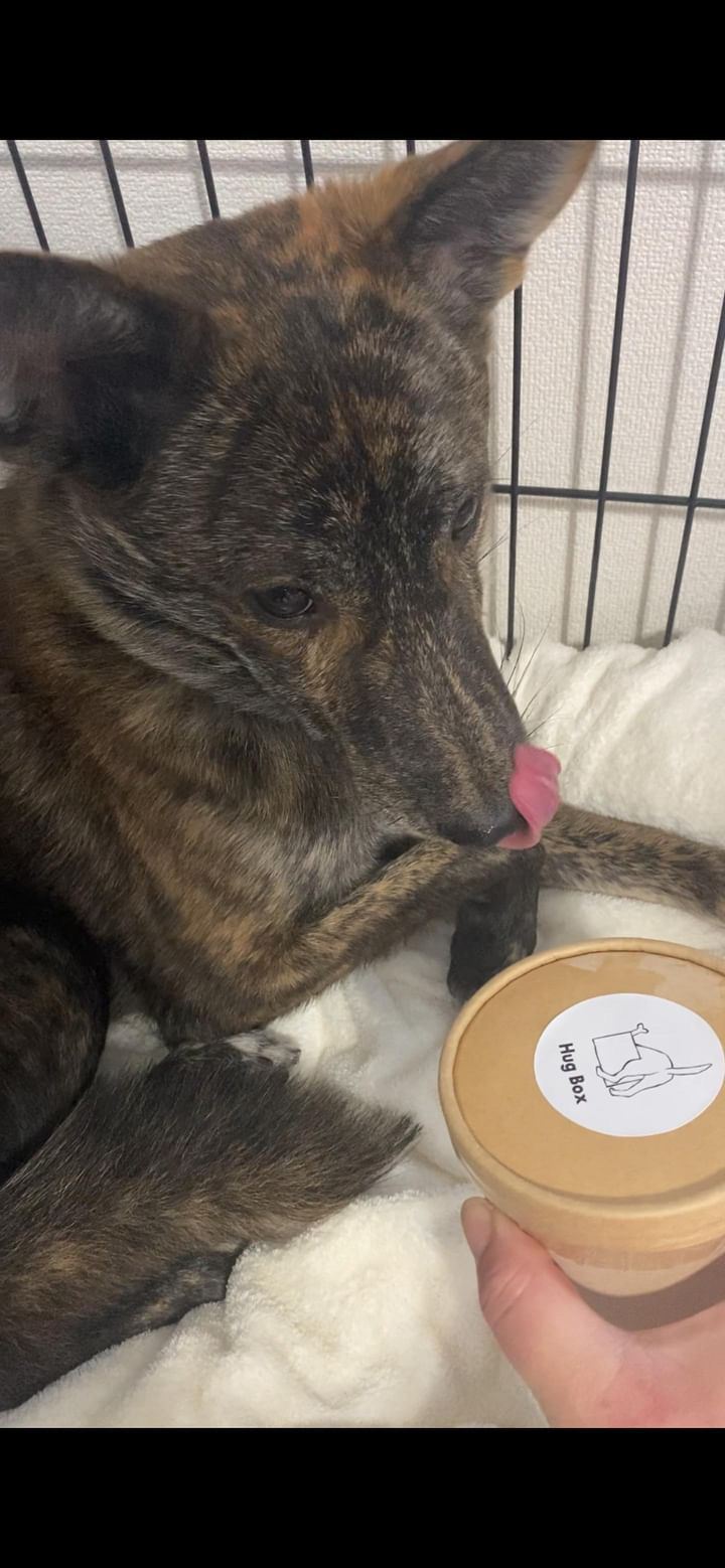 わさびくんの写真