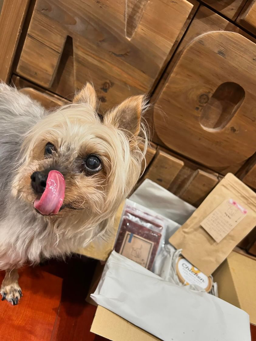 カゲトラくんのベロだし写真