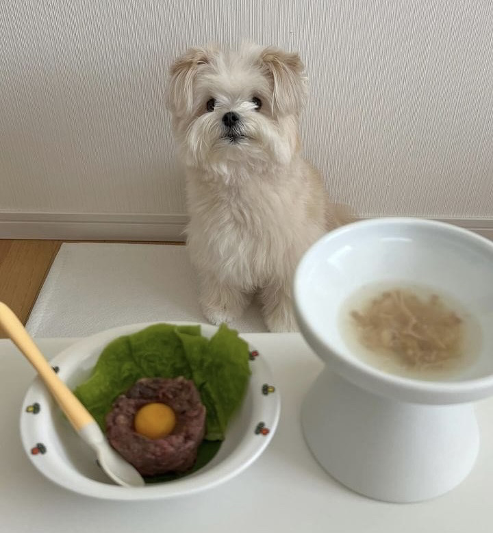 HUGBOXを前にしたテテくんの写真