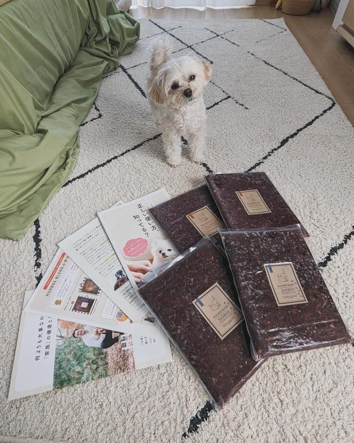 HUGBOXと風羽ちゃんの写真