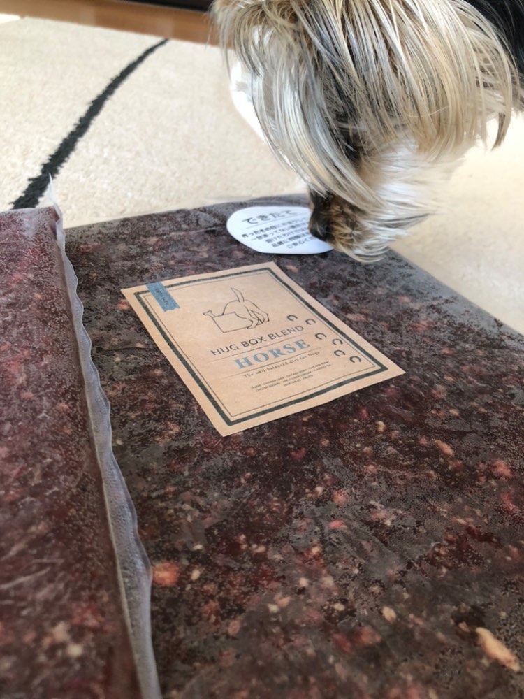 セナちゃんと飼い主様の写真