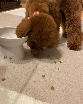 笑顔のニコちゃん