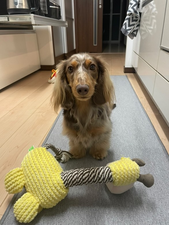 凪くんのトップ写真