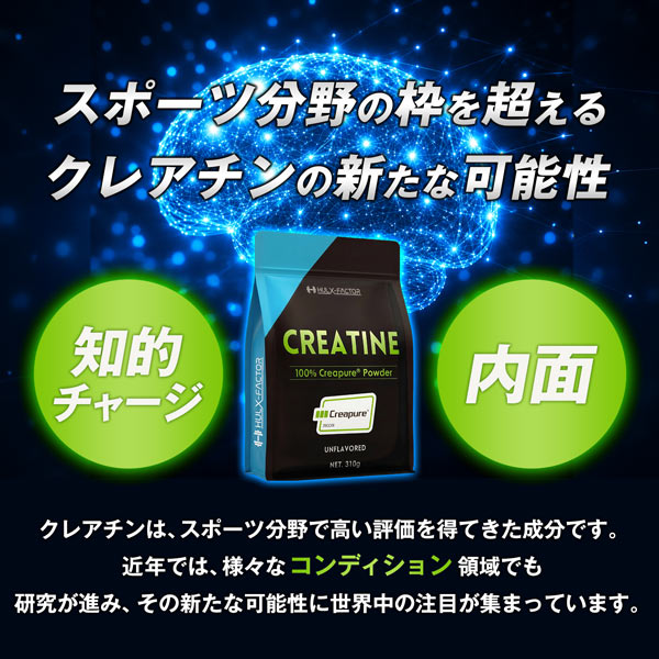 【単発】ハルクファクター クレアピュア 310g  クレアチン モノハイドレート 