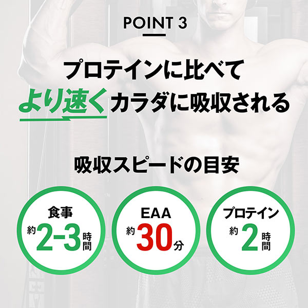 【2袋セット】ハルクファクター オールインワン 配合 EAA 630g×2袋