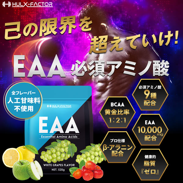 【2袋セット】ハルクファクター EAA 520g×2袋