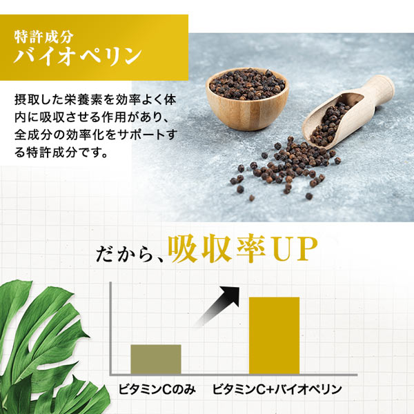 【3袋セット】ハルクファクター ビタミンC 3000 120粒×3袋  リポソーム タイムリリース