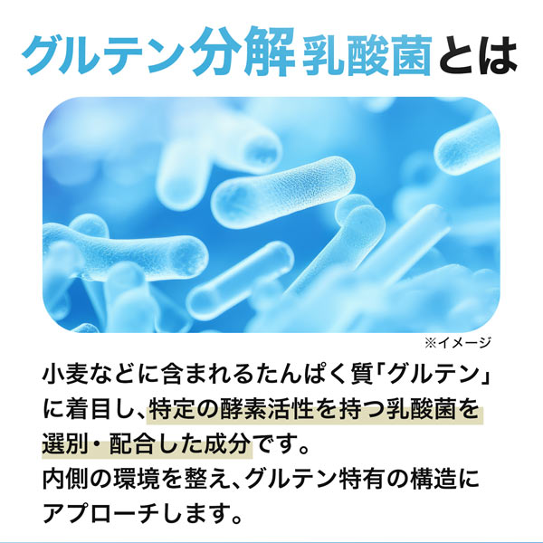 【3袋セット】ハルクファクター  グルテン分解乳酸菌 GL-CUT 120粒×3袋 ディグルラクト