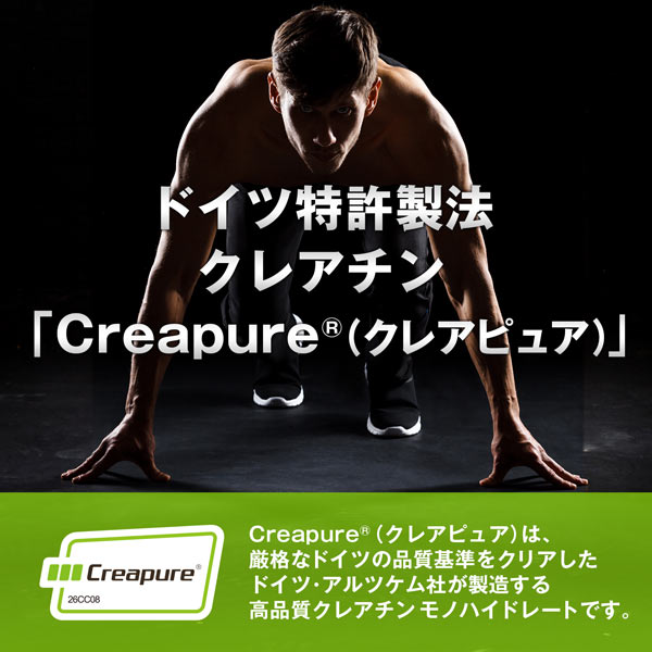 【単発】ハルクファクター クレアピュア 310g  クレアチン モノハイドレート 
