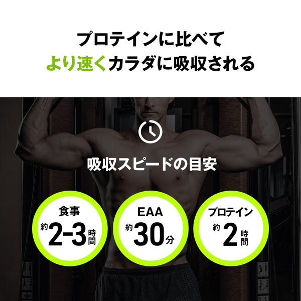 《定期》ハルクファクター オールインワン 配合 EAA ラフランス風味 630g