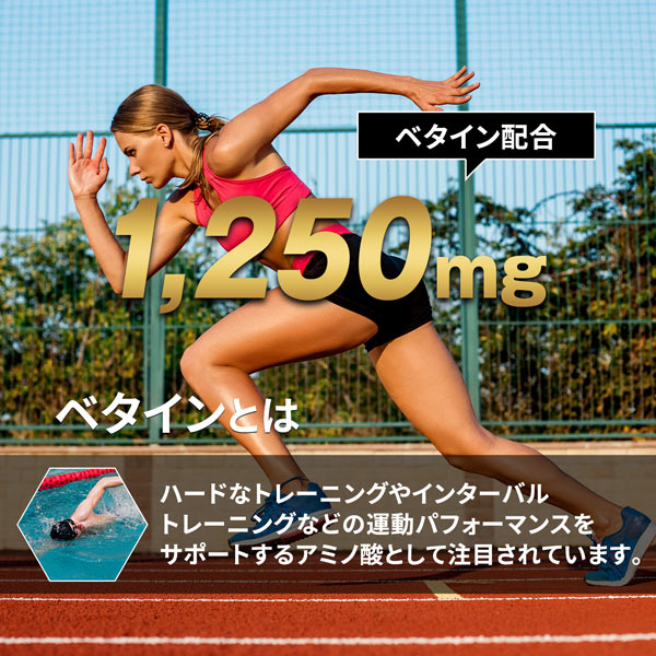 【単発】ハルクファクター BCAA 500g