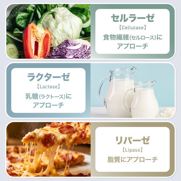 《定期》ハルクファクター グルテン分解乳酸菌 GL-CUT 120粒 デイグルラクト