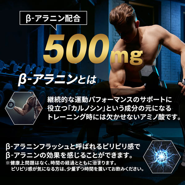 【単発】ハルクファクター BCAA 500g