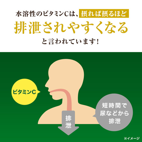 【3袋セット】ハルクファクター ビタミンC 3000 120粒×3袋  リポソーム タイムリリース