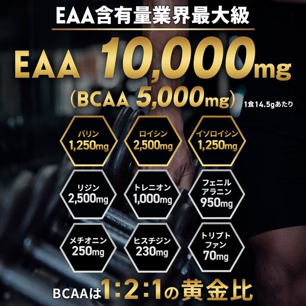 【2袋セット】ハルクファクター EAA 520g×2袋