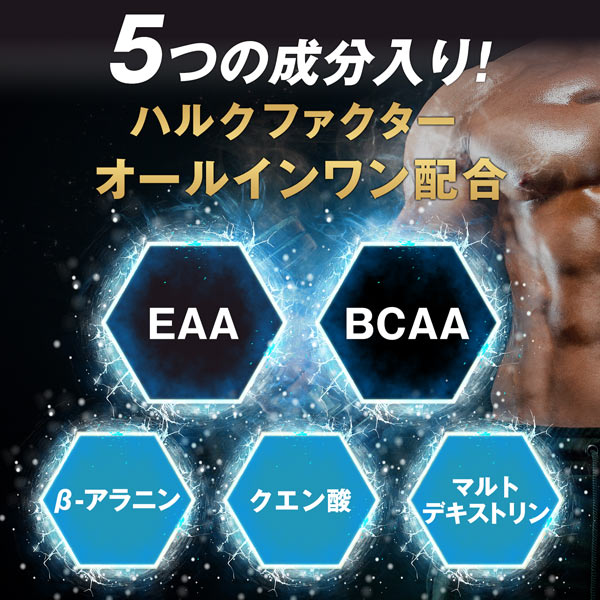 【2袋セット】ハルクファクター EAA 520g×2袋