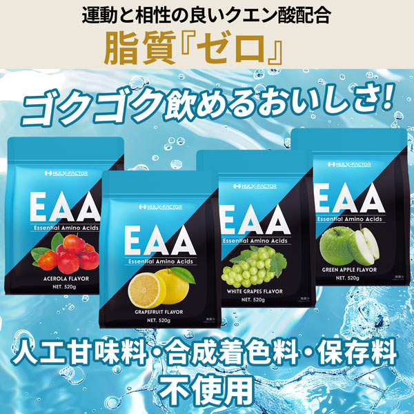 【2袋セット】ハルクファクター EAA 520g×2袋