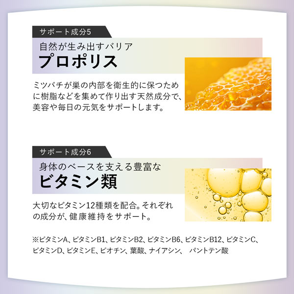 《定期》ハルクファクター タイムリリース NMN 9300 62粒