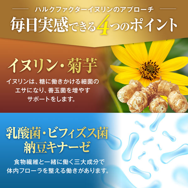 《定期》ハルクファクター グルテン分解乳酸菌 GL-CUT 120粒 デイグルラクト