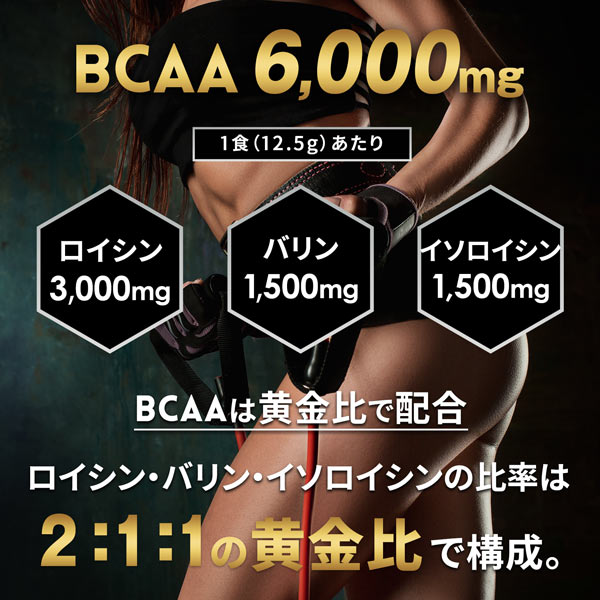 《定期》ハルクファクター BCAA 500g
