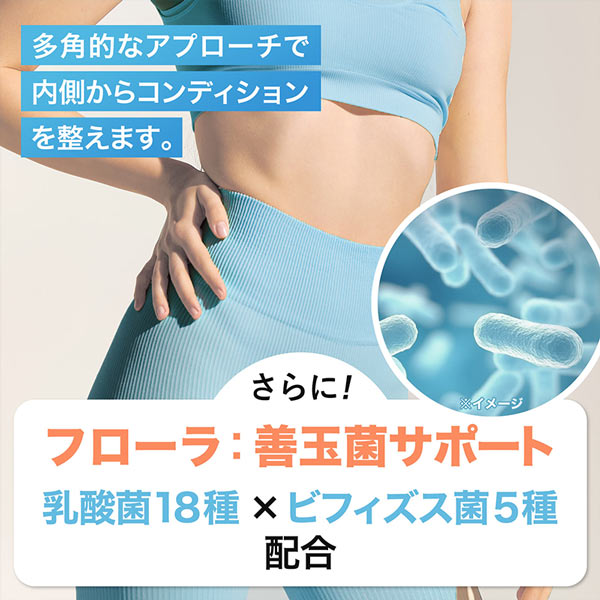 《定期》ハルクファクター GL-CUT グルテン分解乳酸菌 ディグルラクト 120粒
