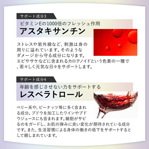 《定期》ハルクファクター タイムリリース NMN 9300 62粒