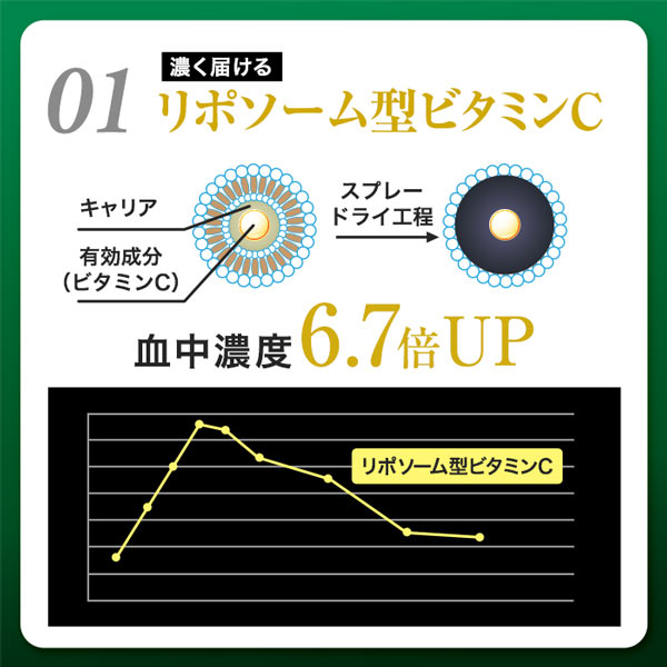 【3袋セット】ハルクファクター ビタミンC 3000 120粒×3袋  リポソーム タイムリリース