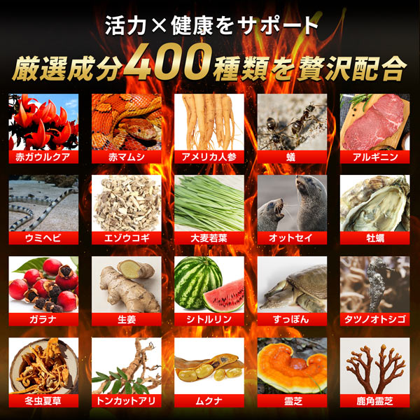 《定期》ハルクファクター 20倍濃縮 マカ 60粒
